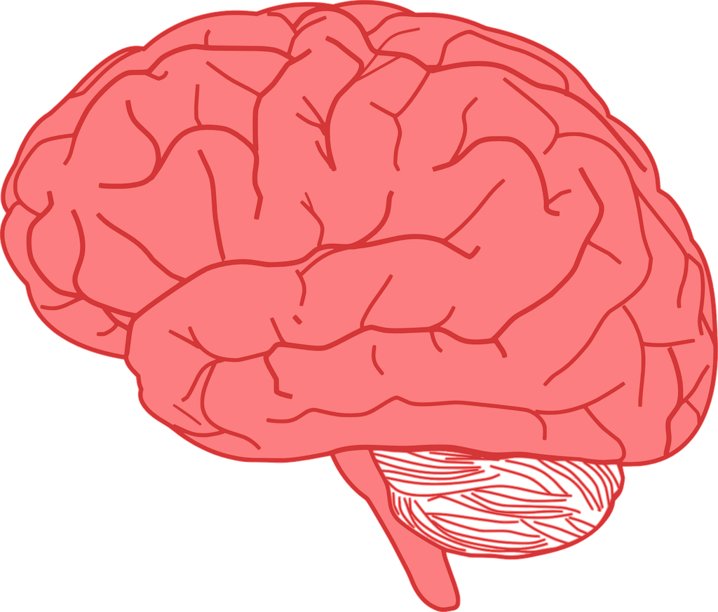COMM-PASS_SMART Brain_rozvoj mozgu_6_w