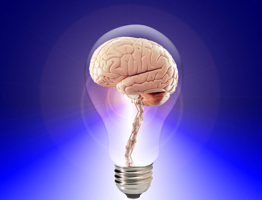 COMM-PASS_SMART Brain_rozvoj mozgu_17w